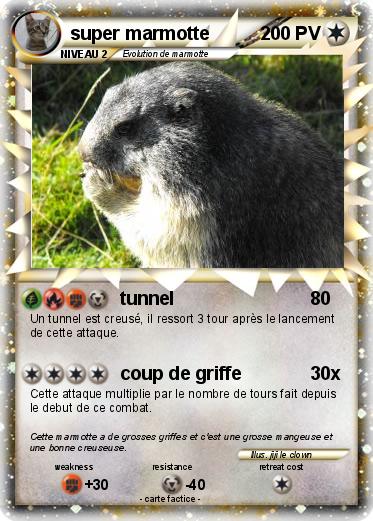 Pokemon super marmotte