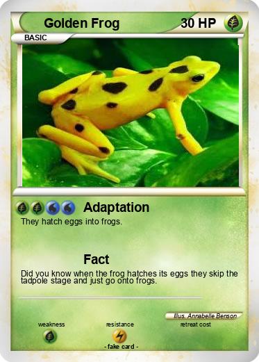 Pokemon Golden Frog