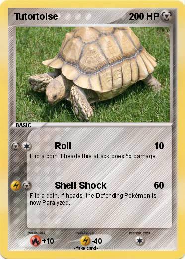 Pokemon Tutortoise