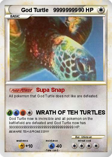 Pokemon God Turtle   99999999