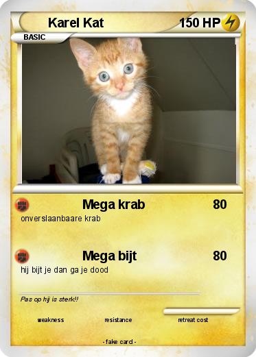 Pokemon Karel Kat