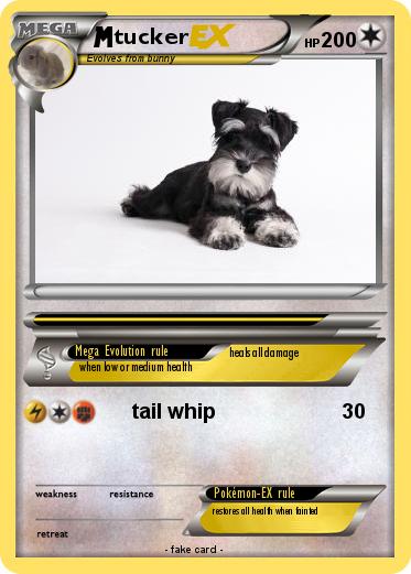 Pokemon tucker