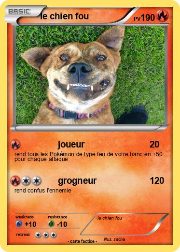 Pokemon le chien fou