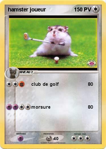 Pokemon hamster joueur