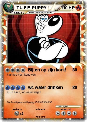 Pokemon T.U.F.F. PUPPY