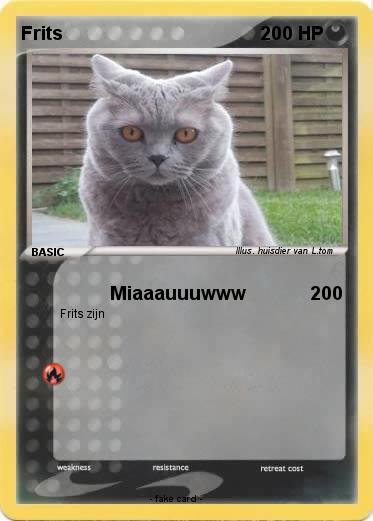 Pokemon Frits