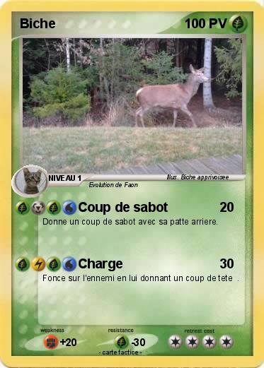 Pokemon Biche