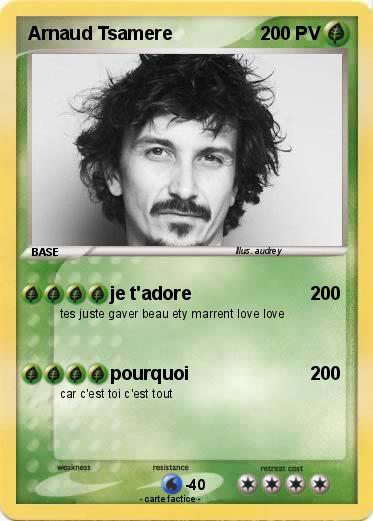 Pokemon Arnaud Tsamere