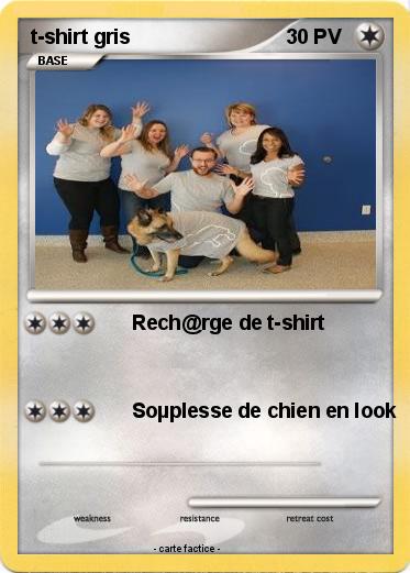 Pokemon t-shirt gris