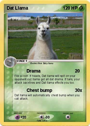 Pokemon Dat Llama