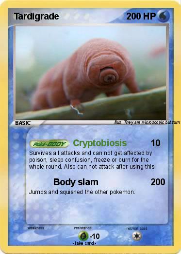 Pokemon Tardigrade