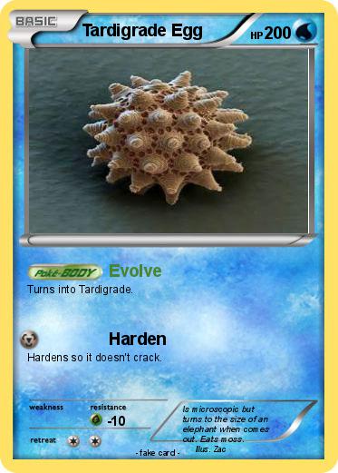 Pokemon Tardigrade Egg