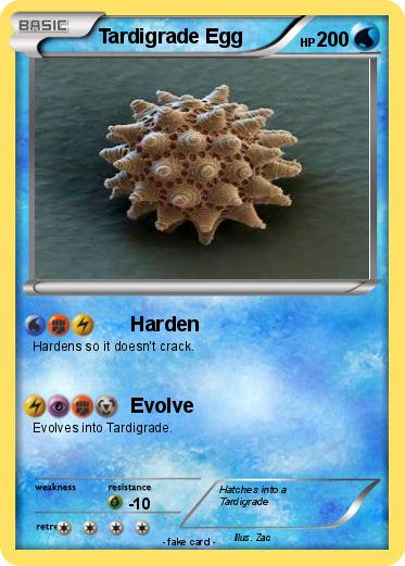 Pokemon Tardigrade Egg