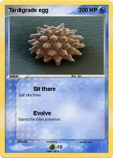 Pokemon Tardigrade egg