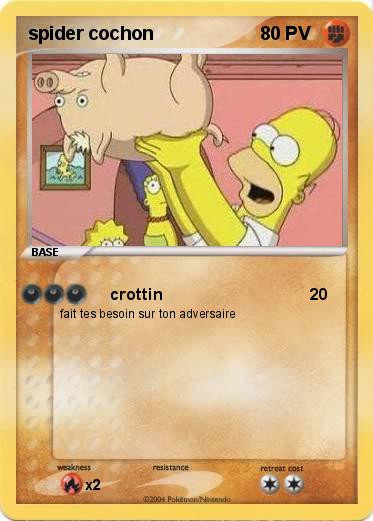 Pokemon spider cochon