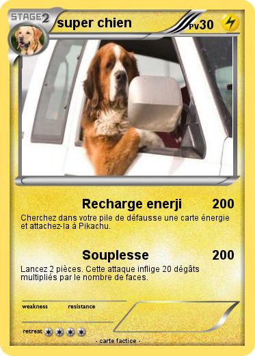 Pokemon super chien