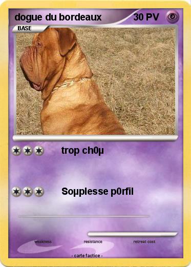 Pokemon dogue du bordeaux