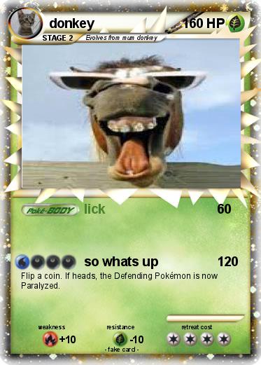 Pokemon donkey