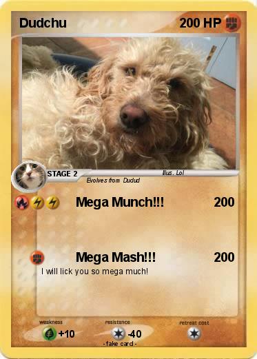 Pokemon Dudchu