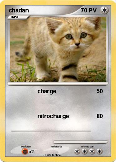 Pokemon chadan
