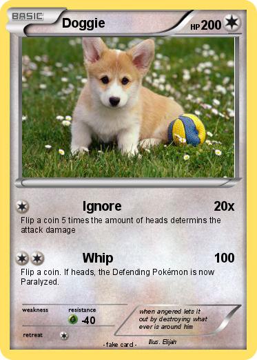 Pokemon Doggie