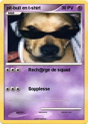 Pokemon pit-bull en t-shirt