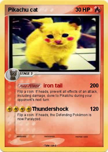 Pokemon Pikachu cat