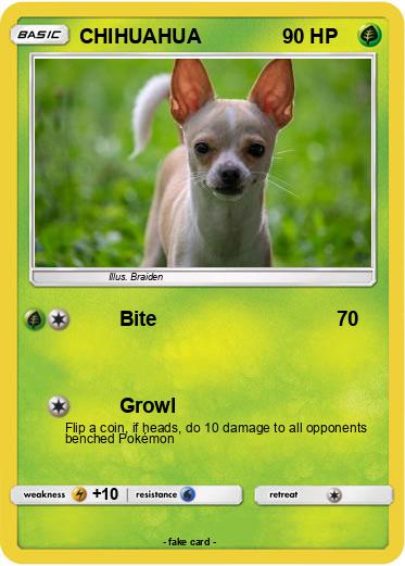 Pokemon CHIHUAHUA