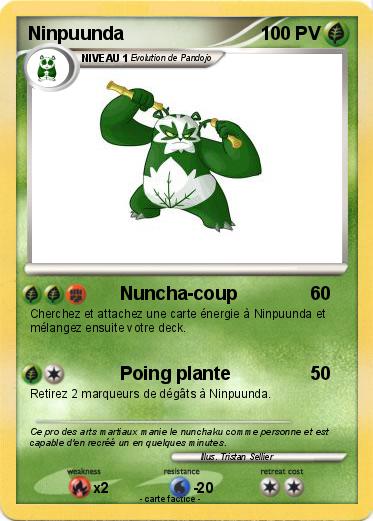 Pokemon Ninpuunda