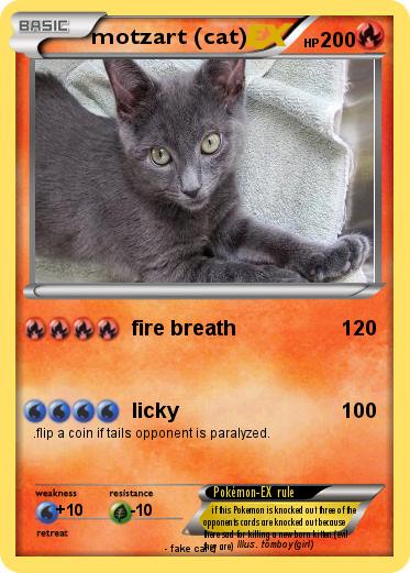 Pokemon motzart (cat)