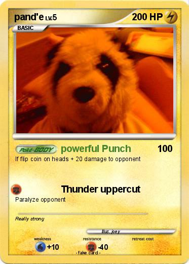 Pokemon pand'e