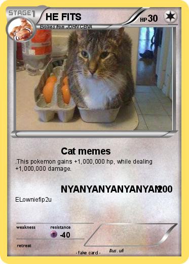 Pokemon HE FITS