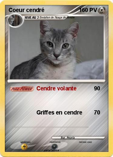 Pokemon Coeur cendré