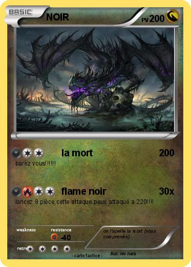 Pokemon NOIR