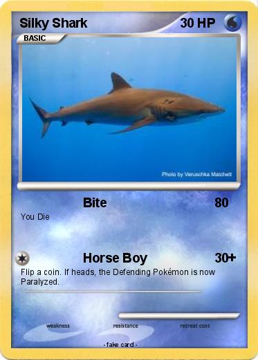 Pokemon Silky Shark