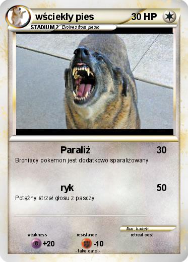 Pokemon wściekły pies