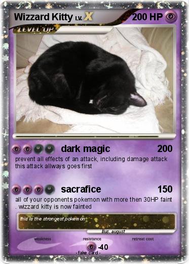 Pokemon Wizzard Kitty