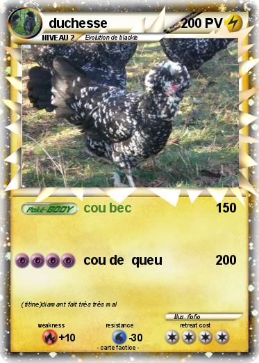 Pokemon duchesse