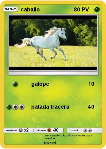 Pokemon caballo