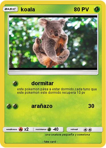 Pokemon koala
