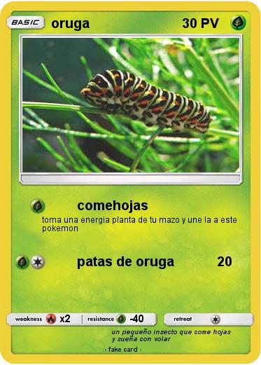 Pokemon oruga