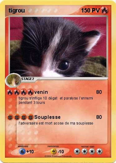 Pokemon tigrou