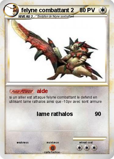 Pokemon felyne combattant 2