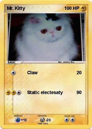 Pokemon Mr. Kitty