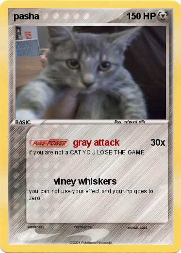 Pokemon pasha