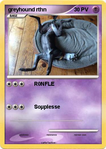 Pokemon greyhound rthn