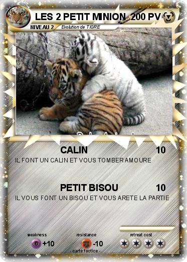 Pokemon LES 2 PETIT MINION