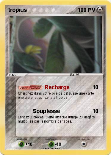 Pokemon tropius