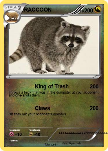Pokemon RACCOON