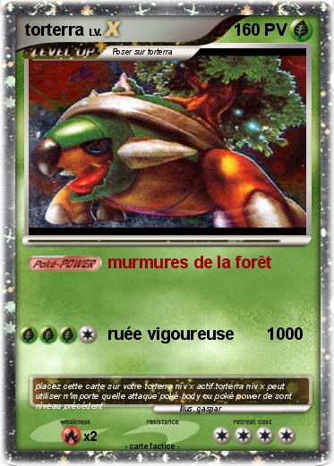 Pokemon torterra